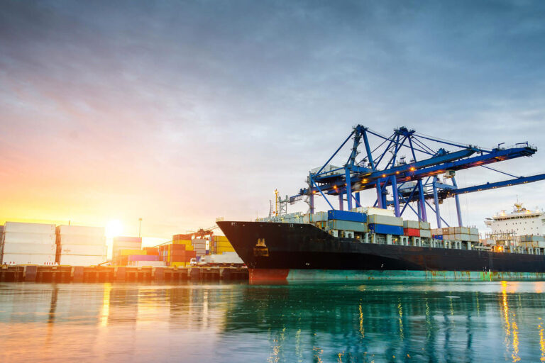 theme_image_11 theme_image_11